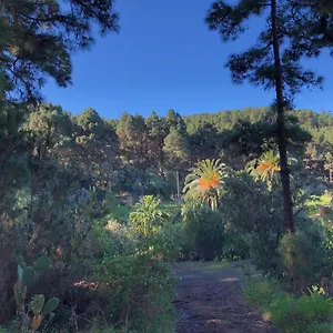 Monte Frio De Tenerife La Guancha